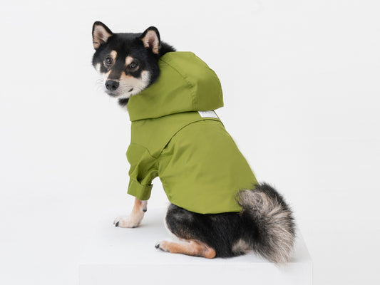 olive