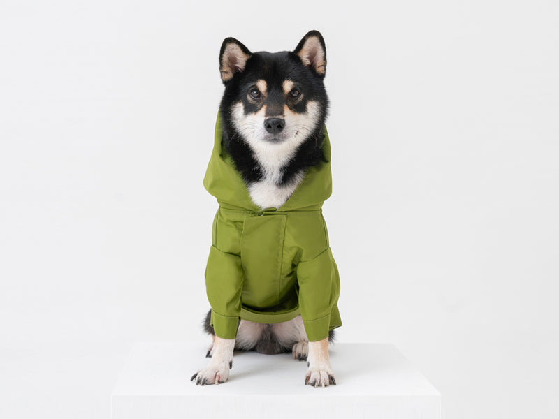 olive