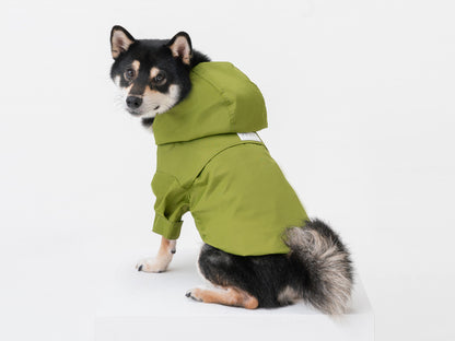 olive