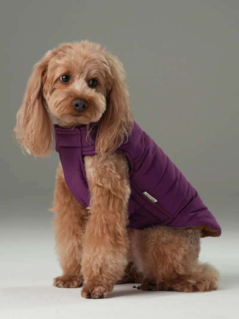 purple