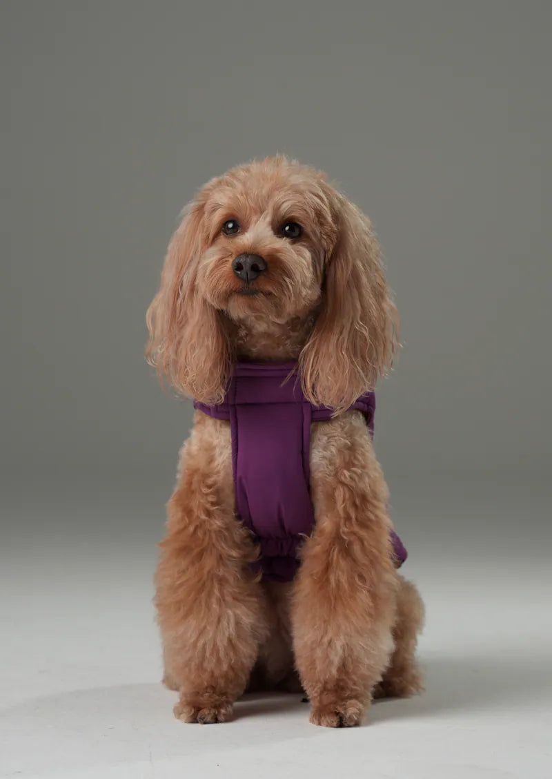 purple