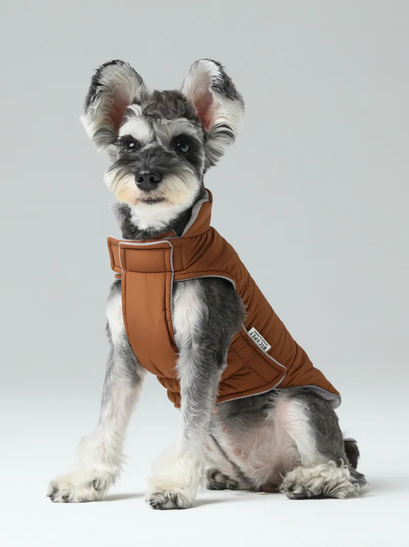 orange gray