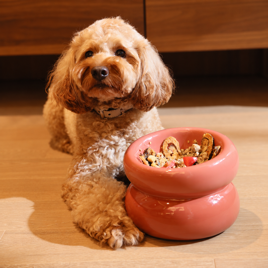 Soufflé Pet Bowl