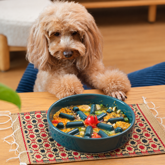 Slow Feeder Pet Bowl