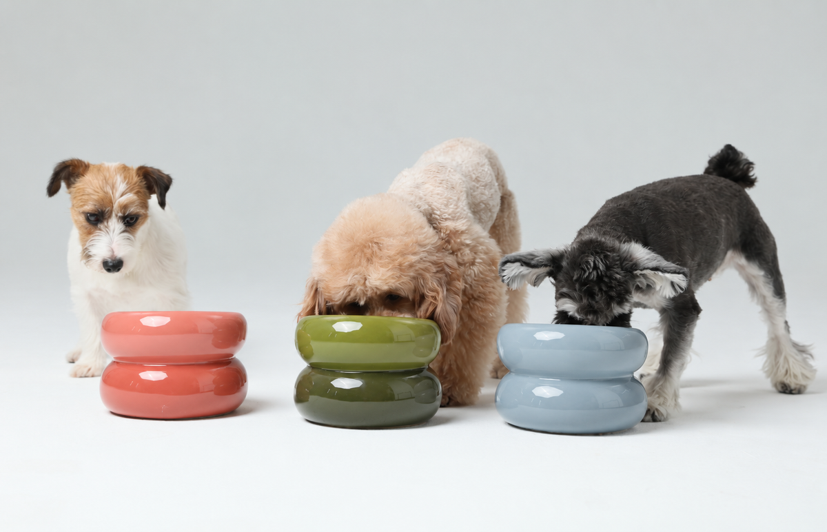 Hund frisst aus dem ØULU Soufflé Napf