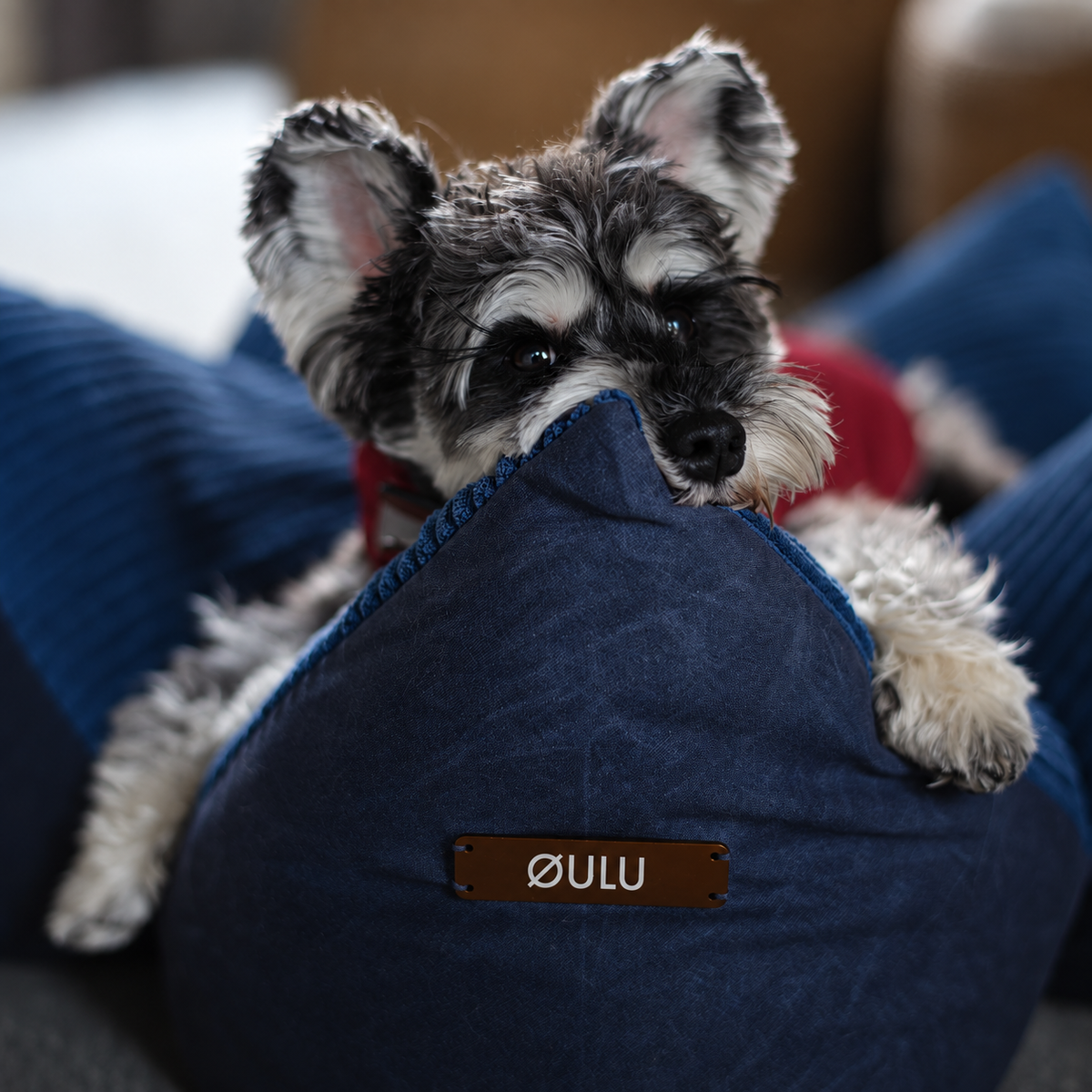 ØULU Cuddle Pet Pillow Bed