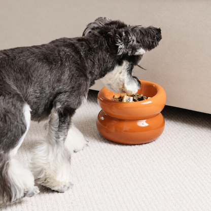 Soufflé Pet Bowl