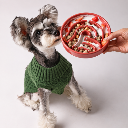 Slow Feeder Pet Bowl