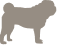 Silhouette eines mittelgroßen Hundes