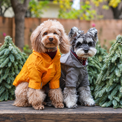 Bowery Raincoat