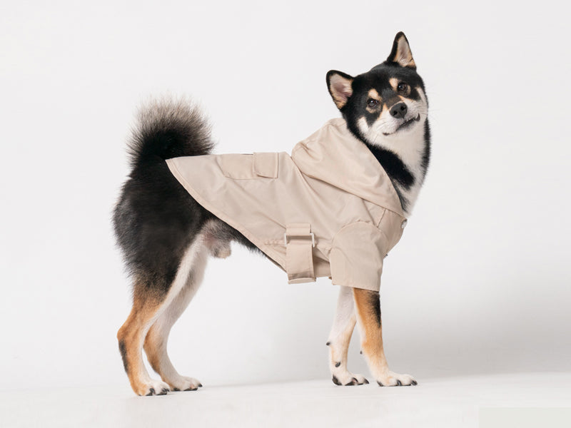 beige